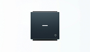 8504.4 NS Клавиша для 1-клавишных выкл./перекл./кнопок с символом СВЕТ и линзой подсветки,серия SKY, чёрный барх. ABB. Вид 1