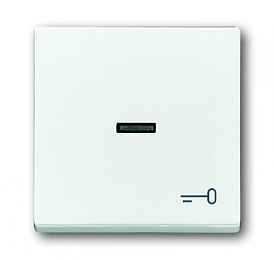 1789 TR-84 Клавиша для механизма 1-клавишного выключателя/переключателя/кнопки, с прозрачной линзой и символом "КЛЮЧ", серия solo/future, цвет davos/. Вид 1