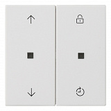 GIRA: G536327