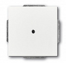 ABB: 2CKA001710A3166