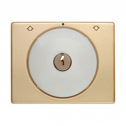 Накладка с замком к жалюзийному замочному выключателю (золотой/полярная белизна) Arsys Berker. Вид 1