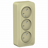 Systeme Electric: BLNRA001317