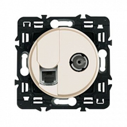 Накладка информационной розетки RJ+TV,слоновая кость,Celiane Legrand. Вид 1