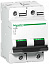 C120H 2P 100A Автоматический выключатель 2-полюсный, 100А, 15кА (хар-ка C) Schneider Electric. Вид 1.