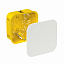 Коробка распределительная для полых стен 100x100x50 diy IP20 Systeme Electric. Вид 1.