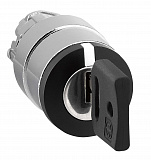 Schneider Electric: ZB4BG7