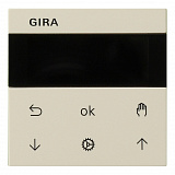 GIRA: G536601