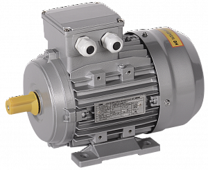 Эл. двиг. 3 фазы, АИС 80А2 380В 0,75кВт 3000 об/мин 1081 DRIVE IEK. Вид 1
