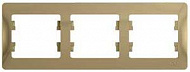 Systeme Electric: GSL000403