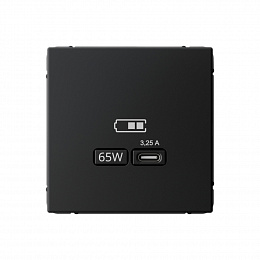 Розетка USB, тип-С 65Вт высокоскор.заряд. QC, PD, механизм (карбон) ARTGALLERY Systeme Electric. Вид 1