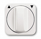 ABB: 2CKA001710A3109