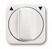 ABB: 2CKA001710A3109