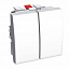 Выкл-ль без фикс. двойной 10a бел r9003 Schneider Electric. Вид 1.