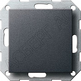 Заглушка с опорной платой (антрацит) System 55 GIRA. Вид 1