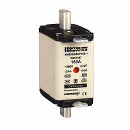 Предохранитель 125А, тип GG, размер 00 Schneider Electric. Вид 1