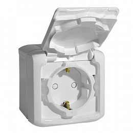 Розетка 2К+З с защитными шторками, с крышкой 250В IP44, (белая) Quteo Legrand. Вид 1