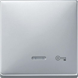 Клавиша с окош.для св.инд. и маркировкой"ключ", sd (алюминий) Merten Schneider Electric. Вид 1