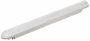 ДСП 1304 Светильник 18Вт 4000К IP65 600мм серый пластик ИЭК. Вид 1