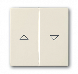 1785 JA-82 Клавиша для механизма выключателя жалюзи 2000/4 U и 2020/4 US, с маркировкой, серия solo/future, цвет savanne/слоновая кость ABB. Вид 1