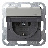 GIRA: G0454600