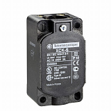 Schneider Electric: ZCKS1H29