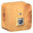 Systeme Electric: BLNIA011005