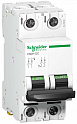 Schneider Electric: A9N61529