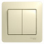 Выключатель 2-клавишный (сх.5) 10АХ, в сборе (бежевый) Glossa Systeme Electric. Вид 1.