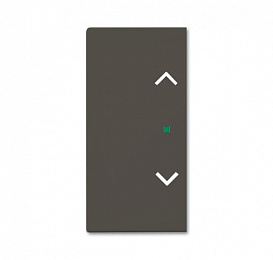 SRB-2-95 Клавиша двойная free@home, жалюзи, Basic 55, ch?teau-black ABB. Вид 1