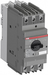 MS165-25 Автомат с регулируемой тепловой защитой (18-25А) 100kА ABB. Вид 1