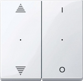 Sm,кл.для мод 2кн.вык, вв/вн,1/0, ак.бел Schneider Electric. Вид 1