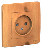 Systeme Electric: BLNRS000115