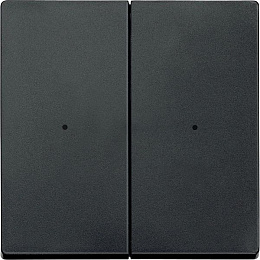 Sm, клавиша для модуля 2 кн. вык, антрац Schneider Electric. Вид 1