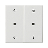 GIRA: G536703