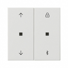 Накладка на жалюзийный выключатель (белый глянцевый) System 55 Gira. Вид 1