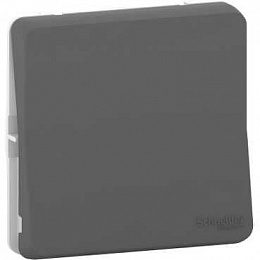 Переключатель, механизм IP55 (антрацит) Mureva Styl Schneider Electric. Вид 1