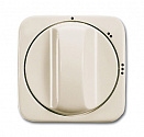 ABB: 2CKA001710A3419
