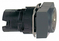 Schneider Electric: ZB6DGC