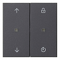 GIRA: G536328