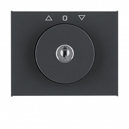 Накладка с замком к жалюзийному замочному выключателю (антрацитовый, матовый) K.1 Berker. Вид 1