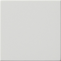 65527 Накладка сенсорного светорегулятора (белый) System 55 GIRA. Вид 1