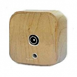 Розетка TV "звезда", о/у, (сосна) Quteo Legrand. Вид 1