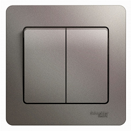 Выключатель 2-клавишный,сх.5,10ax, в сборе (платина) Glossa Systeme Electric. Вид 1