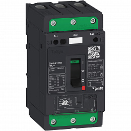 авт.выкл gv4le с магнитным расцепителем 2a 100ka зажим everlink Schneider Electric. Вид 1
