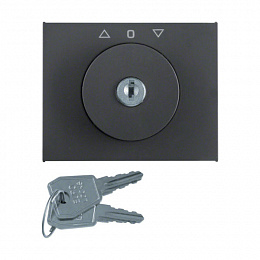 Накладка с замком к жалюзийному замочному выключателю (золотой/полярная белизна) Arsys Berker. Вид 1