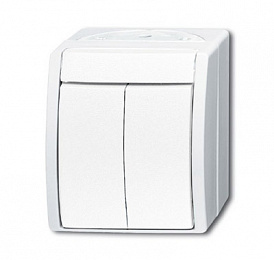 2601/5 W-54 Выключатель 2-клавишный, для открытого монтажа, IP44, серия ocean, цвет альпийский белый ABB. Вид 1