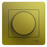 Schneider Electric: GSL001036