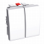 Выкл-ль без фикс. двойной 10a антибакт. Schneider Electric. Вид 1.