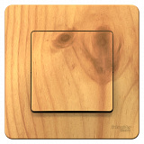 Systeme Electric: BLNVS010605