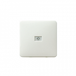 29055 Клавиша с подсветкой (белый) F-Line GIRA. Вид 1